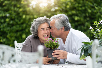 Portrait of Asian Senior man kissing his wife.