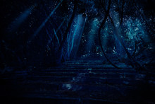Stair In Night Forest