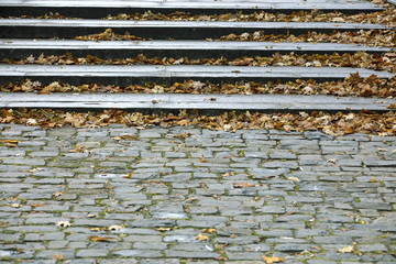 dry brown leaves on steps and sidewalk outside in autumn