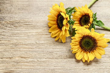 Wall Mural - Sunflowers on wooden background