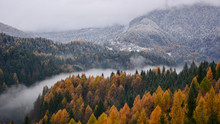 The Fog In The Valley Of The River Divides The Winter From Autumn