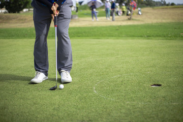 Wall Mural - Golfer putting golf ball approach to the golf hole on the green golf