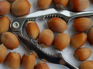 Hazelnuts around a metal nut cracker