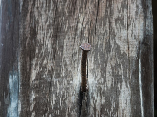 Home wooden pole with rusted nail