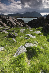 A view on the lofoten mountains in Norway with a green way in the foreground