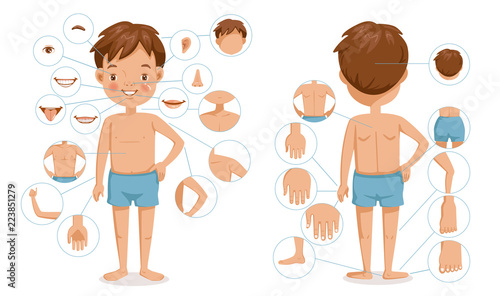 Boy body front view and rear view. Children with different parts of the