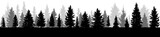 Fototapeta Las - Trees,  silhouette of forest, vector