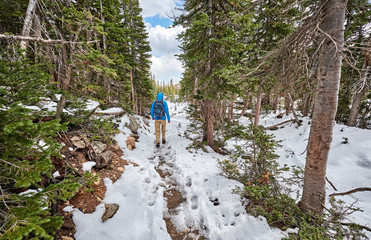 Wall Mural - Tourist with backpack hiking on snowy trail