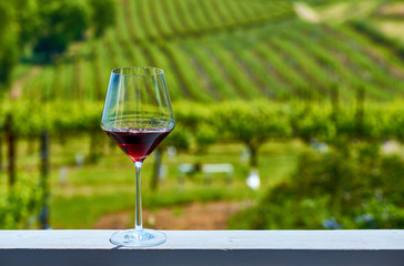 Glass of red wine and vineyards