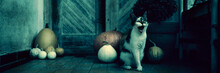 Angry Roaring Cat With Amputated Leg Sitting By Front Door Decorated With Pumpkins For The Halloween Season. Dark Spooky Halloween Mood Banner.