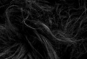 Wall Mural - Black soft natural animal wool texture background. Skin wool. Close-up texture of dark fluffy fur. Gray plush