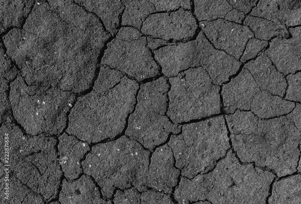 Black cracked surface of grey soil texture background, dark dried and chopped gray earth, old fissure dark ground, close-up, erosion