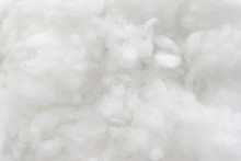 White Cotton Texture Is Soft, Fluffy Wadding Background