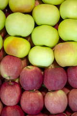 Wall Mural - Red and green apples.