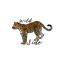 Wall Mural - Wild side slogan. Leopard. Typography graphic print, fashion drawing for t-shirts. Vector stickers,print, patches vintage