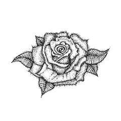 Sticker - Dotwork Rose Flower