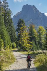 Wall Mural - nice and active senior woman, riding her e-mountainbike in the Tannheim valley, Tirol, Austria with the village of Tannheim and famous summits Gimpel and Rote Flueh