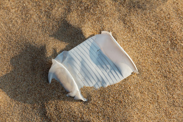 used white plastic cup on a sandy beach, garbage