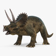 Triceratops dinosaur on bright background. 3D illustration