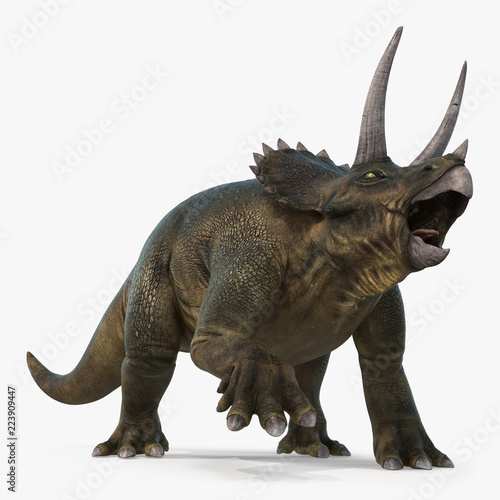 Photographie  Triceratops dinosaur on bright background. 3D illustration