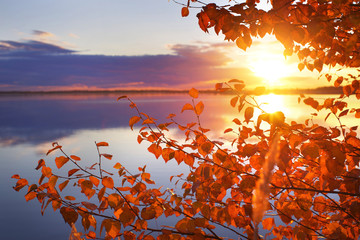 Wall Mural - Colorful autumn landscape. Branches of birch on the shore of the lake in the rays of the setting sun.