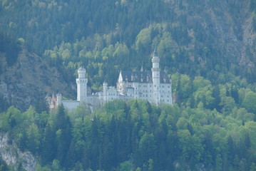 Wall Mural - Germany. The castle on the hill.