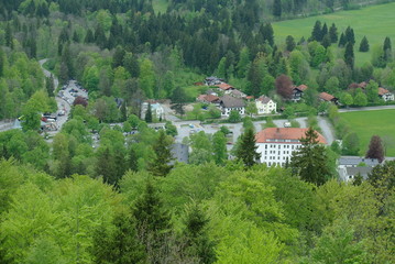 Wall Mural - Germany. Forest. Village