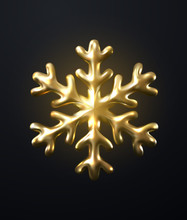 Shimmering Golden Snowflake.