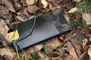 Black mobile phone lost in forest.