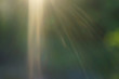 © oleksandr - Sun rays behind the trees.