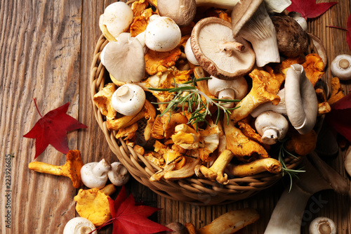 Cuadros en Lienzo variety of raw mushrooms on wooden table