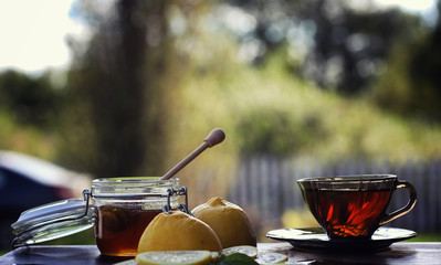 Tea with lemon and mint in nature. A cup of hot mint tea with le