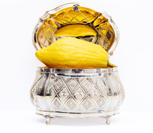 Etrog With Silver Box White Background