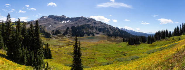 Beautiful panoramic landscape view during a vibrant sunny summer day. Taken in Garibaldi Provincial Park, located near Whister and Squamish, North of Vancouver, BC, Canada.