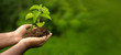 Hand with Tree, Save with Nature concept, environmental day special background
