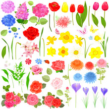 Lovely Flower Set For Your Design