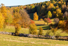 Rural Meadow In Autumn Landscape