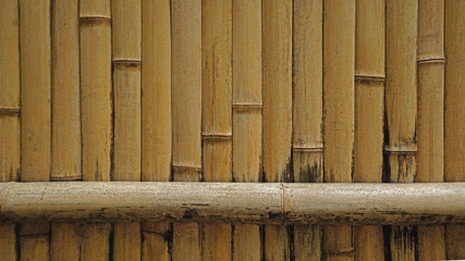 Natural bamboo textured wall background in outdoor garden