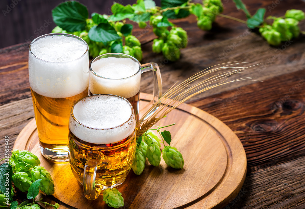 Bier - Alkohol - Spirituosen - Getränk - Hopfen - Gerste - Stutzen- Seidel - Kanne - Glas - obrazy, fototapety, plakaty 