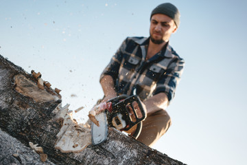 Wall Mural - Bearded brutal lumberjack worker saw the tree with a chainsaw. Sawdust fly apart