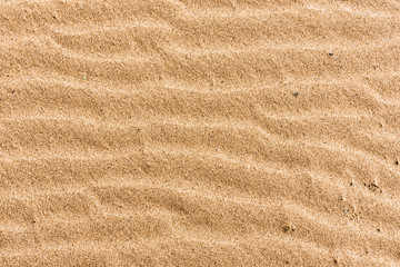 Wall Mural - Beach sand with stripes from the waves - natural background with copy space