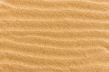 Wall Mural - Beach sand with stripes from the waves - natural background with copy space