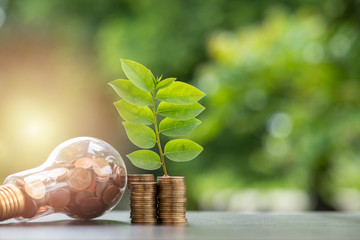Wall Mural - energy saving. stacks of coins growing in light bulb and tree growing on stacks of coins and tree na