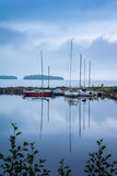 Fototapeta Pomosty - Sailboats in front of the breakwater are reflected in a calm blue water, green branches in front, an island view in the background