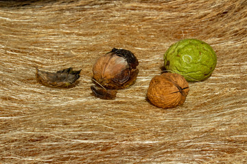 Walnuts