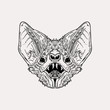 Vector vintage hand drawn bat head. Scarry illustration made with ink.