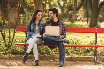 Wall Mural - Friends studying in the park