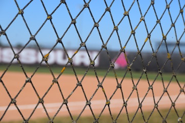 Wall Mural - Softball Field