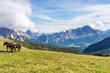Italien - Südtirol - Passo di Giau