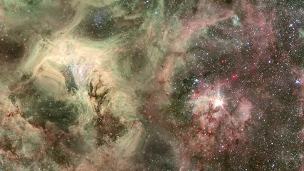 Wall Mural - Tarantula nebula star field cosmic cloud turbulence flare light. Contains public domain image by NASA